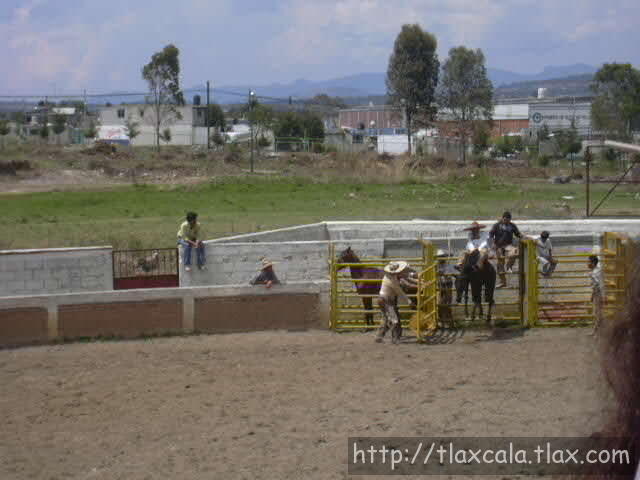Buenos reparos Alberto Valencia