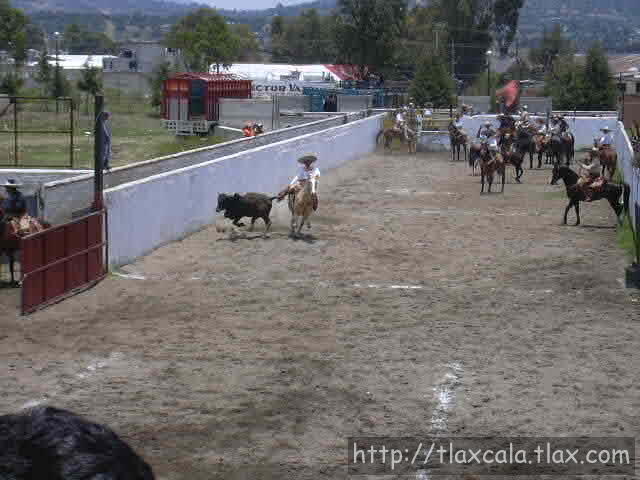 Leo Aguilar estirando