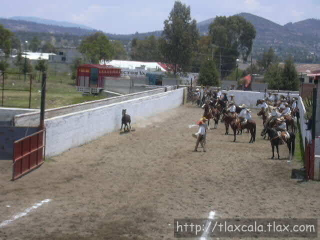 Oscar Lopez pialando
