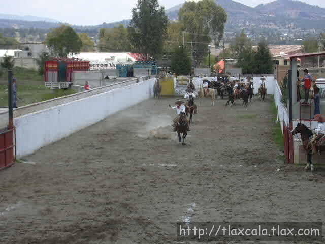 Raymundo Bravo coleando por Tepalca