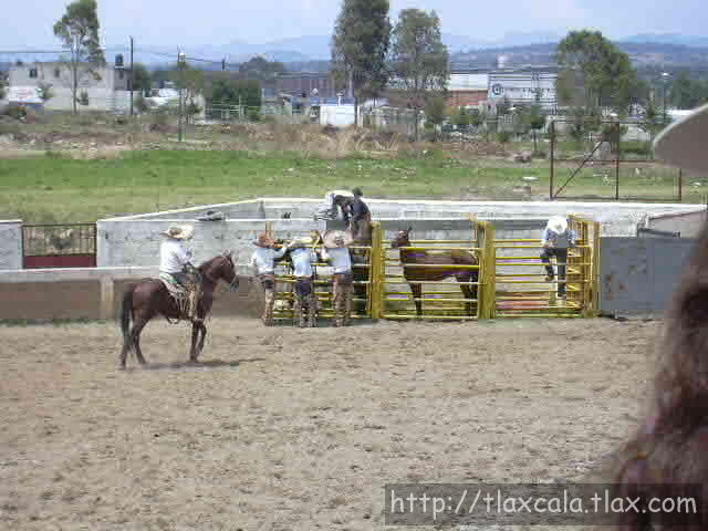 Rene Lopez jineteando yegua por Tepalca