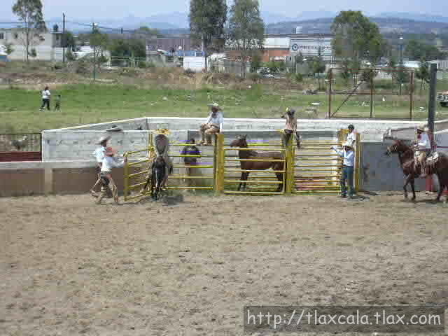 Rene Lopez jineteando yegua