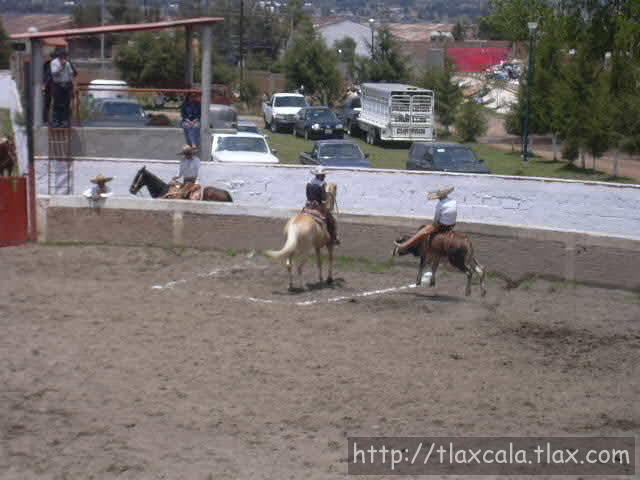 Victor Lopez jineteando novillo