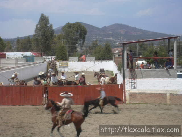 Alberto Valencia casi cayendose de la yegua
