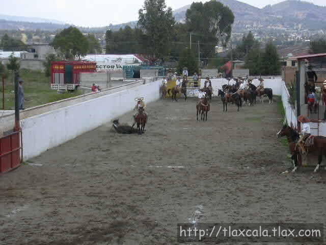 Victor Lopez Vazquez coleando