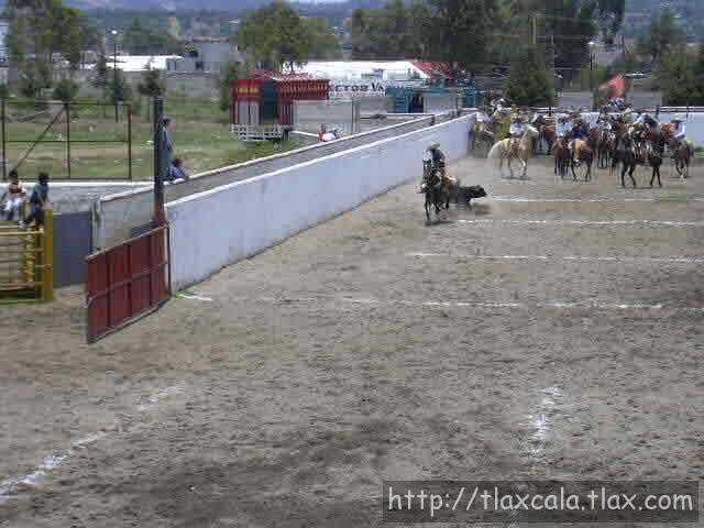 Chon coleando en su tercera oportunidad
