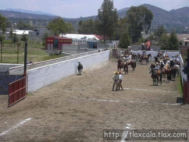 Federico Saad pialando