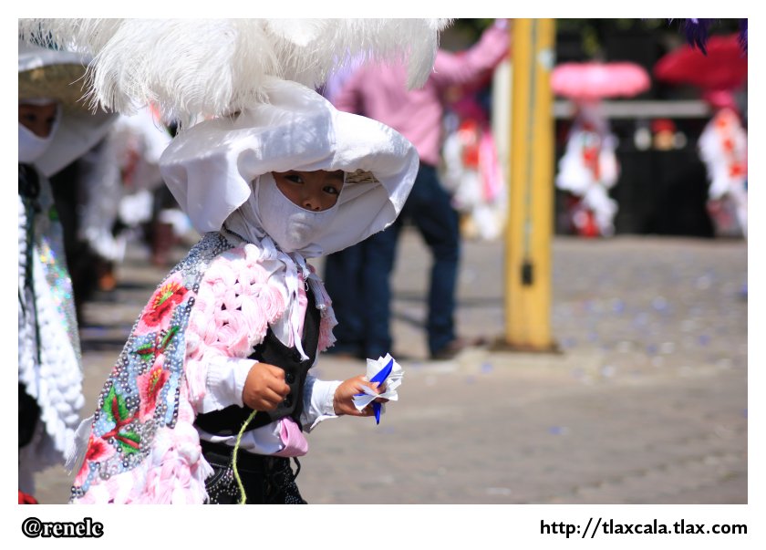 Octava de Carnaval Mazatecochco 2013 - Foto