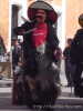 Chivarrudos de Zacatelco (21-02-2004)