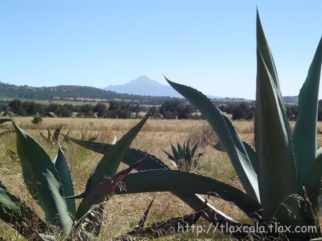 Fotos de la Malinche - Foto