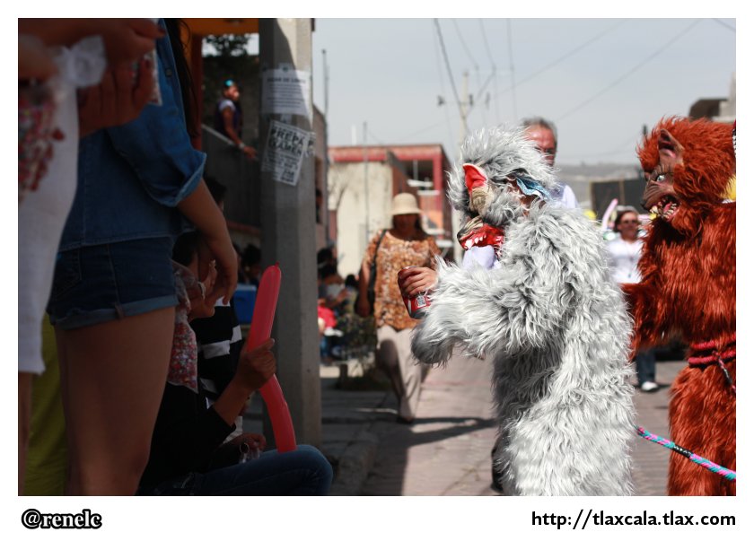 Desfile/Remate de Carnaval Panotla 2013 - Foto