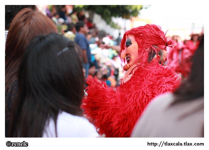 Desfile/Remate de Carnaval Panotla 2013 - Foto