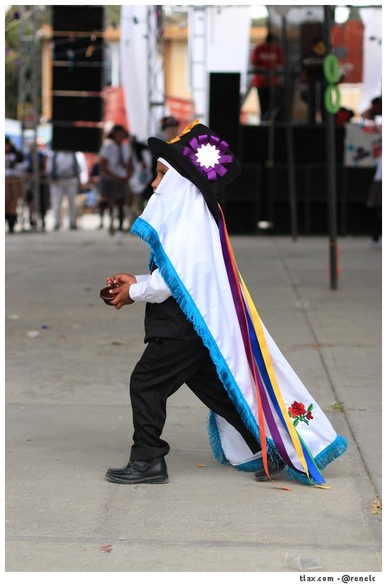 Carnaval Xochimilco 2013 - Foto
