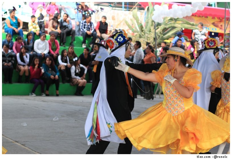 Carnaval Xochimilco 2013 - Foto