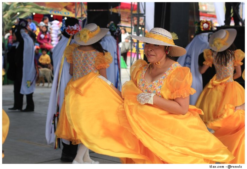 Carnaval Xochimilco 2013 - Foto