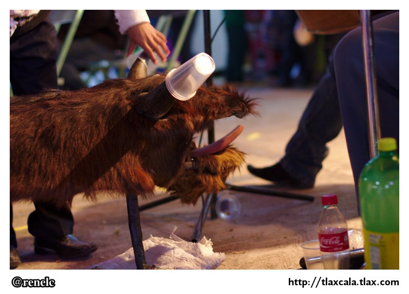 Vasarios de San Isidro Buensuceso - Feria 2013 - Foto