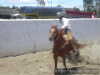 Erasmo con derribe por amigos charros