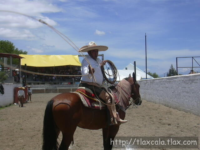 Don Rigo Diaz