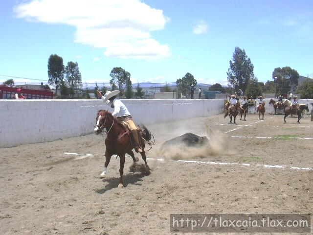 Hugo Carvajal de los campeones