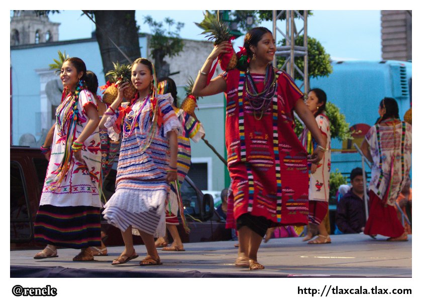 12 Festival Nacional de Danza Folklrica - 25 de Julio 2013 - Foto