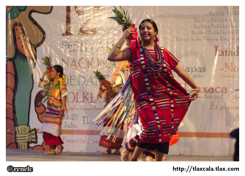 12 Festival Nacional de Danza Folklrica - 25 de Julio 2013 - Foto