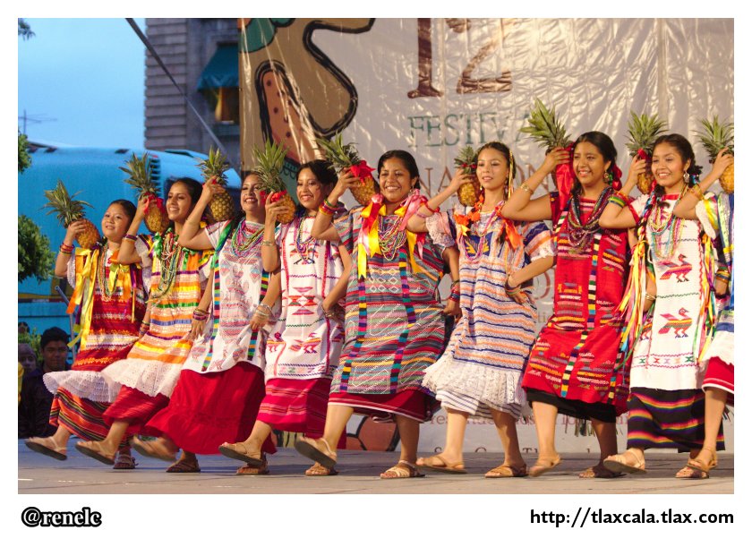12 Festival Nacional de Danza Folklrica - 25 de Julio 2013 - Foto
