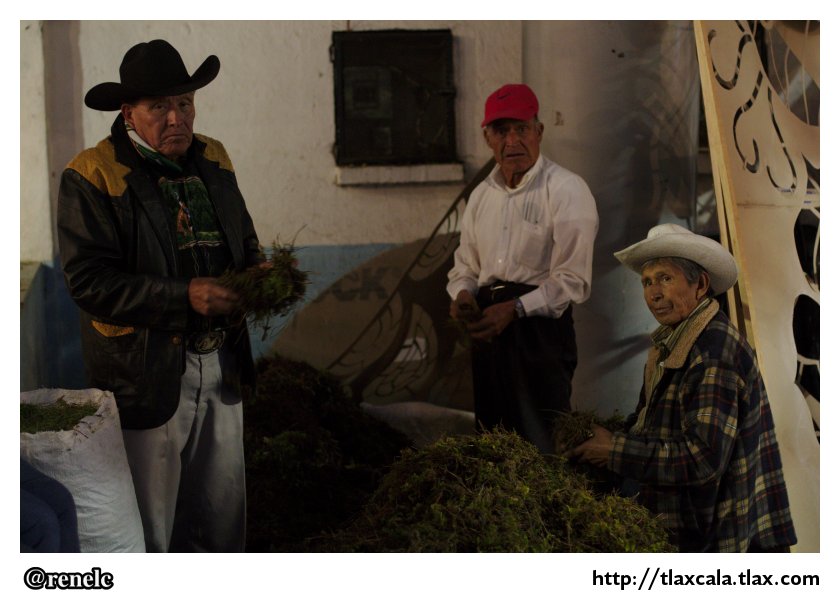 La noche que nadie duerme &quot;Las alfombras - Huamantla&quot; - Foto