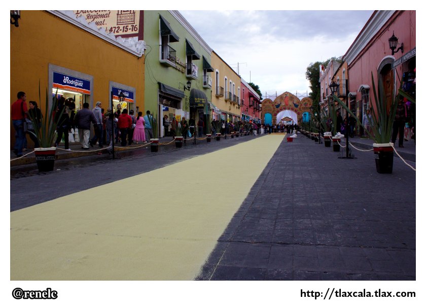 La noche que nadie duerme &quot;Las alfombras - Huamantla&quot; - Foto