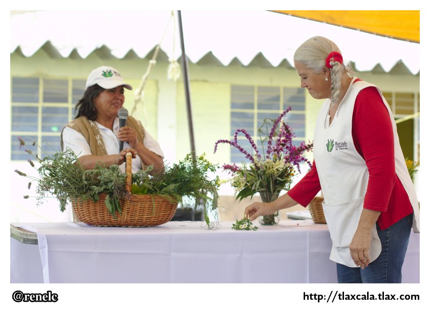 Cuarto Aniversario del Mercado Alternativo Apizaco (21 de agosto del 2013) - Foto