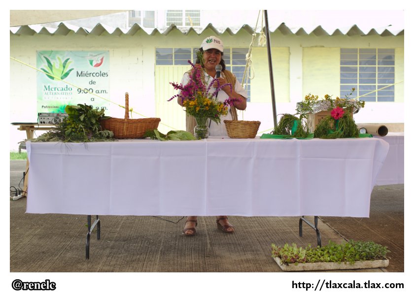 Cuarto Aniversario del Mercado Alternativo Apizaco (21 de agosto del 2013) - Foto
