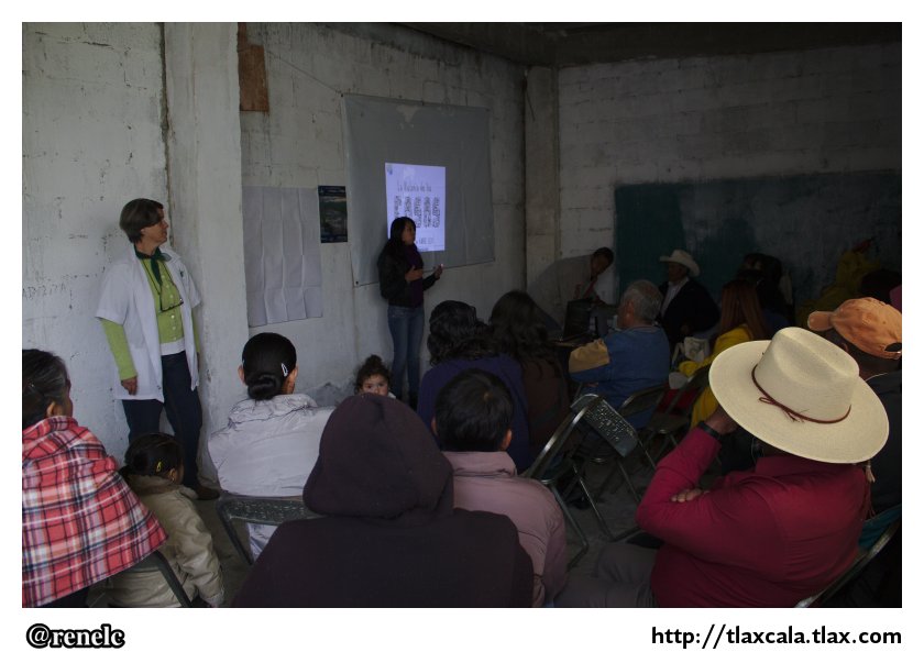 Cuarto Aniversario del Mercado Alternativo Apizaco (21 de agosto del 2013) - Foto