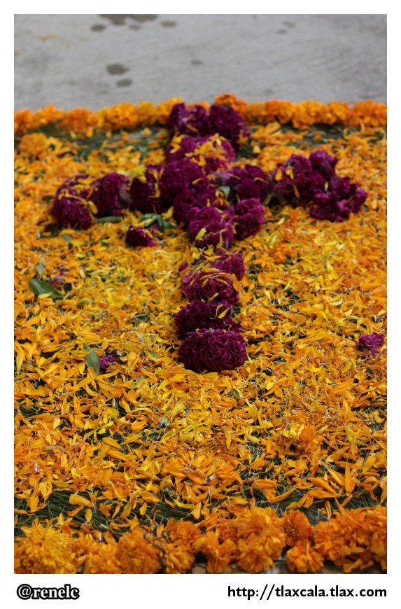 Dia de muertos en San Isidro Buensuceso 2013 - Foto