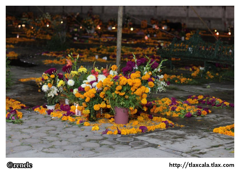 Dia de muertos en San Isidro Buensuceso 2013 - Foto