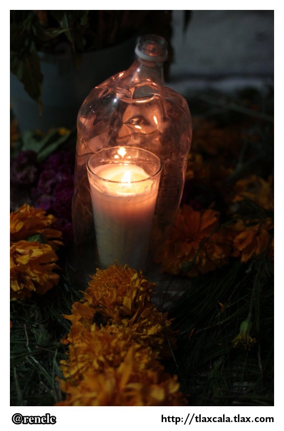 Dia de muertos en San Isidro Buensuceso 2013 - Foto