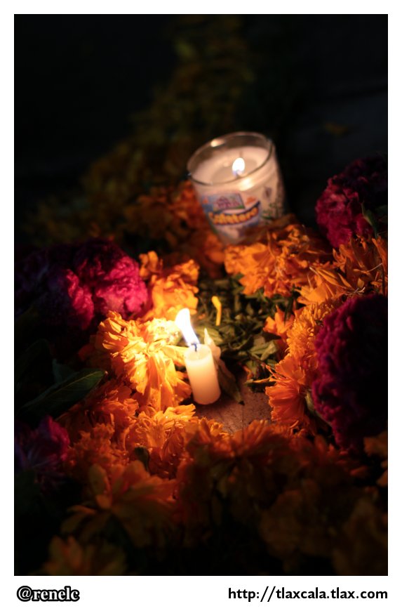 Dia de muertos en San Isidro Buensuceso 2013 - Foto
