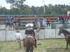 Chapetes...en el suelo