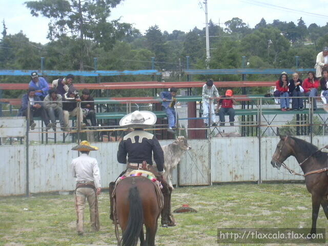 Chapetes...en el suelo