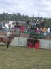 Rene metiendo un resorte