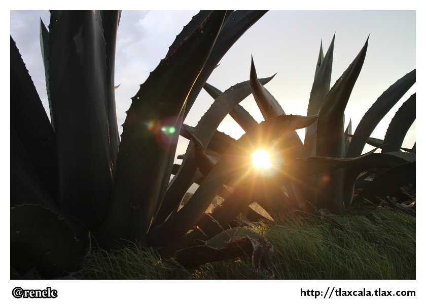 Hacienda Pulquera de Xochuca - Tlaxco Tlaxcala - Foto