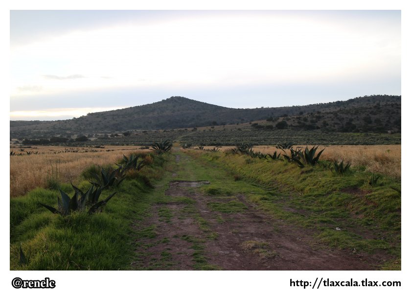 Hacienda Pulquera de Xochuca - Tlaxco Tlaxcala - Foto