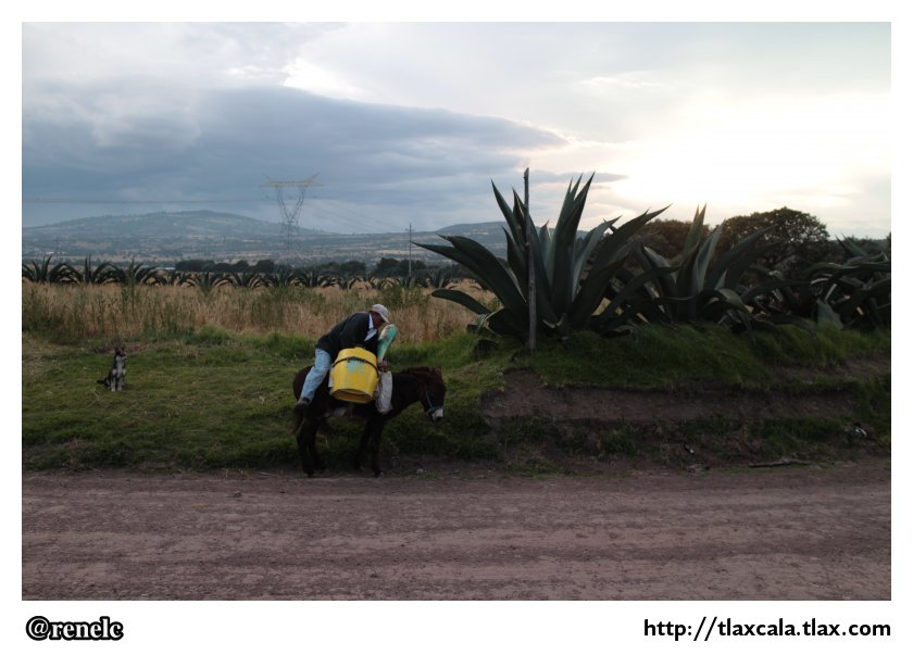 Hacienda Pulquera de Xochuca - Tlaxco Tlaxcala - Foto