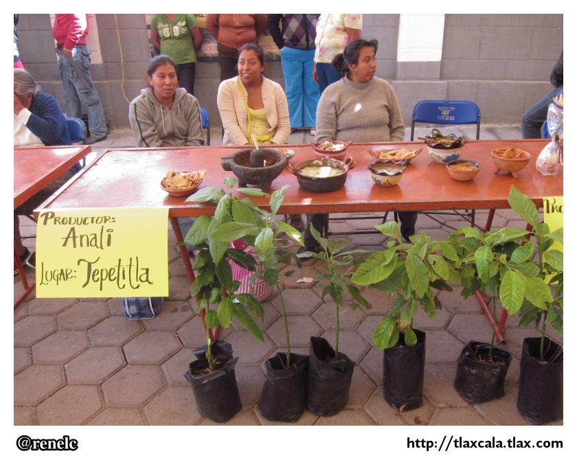 Feria del Maiz en Tepetitla - 2013 - Foto