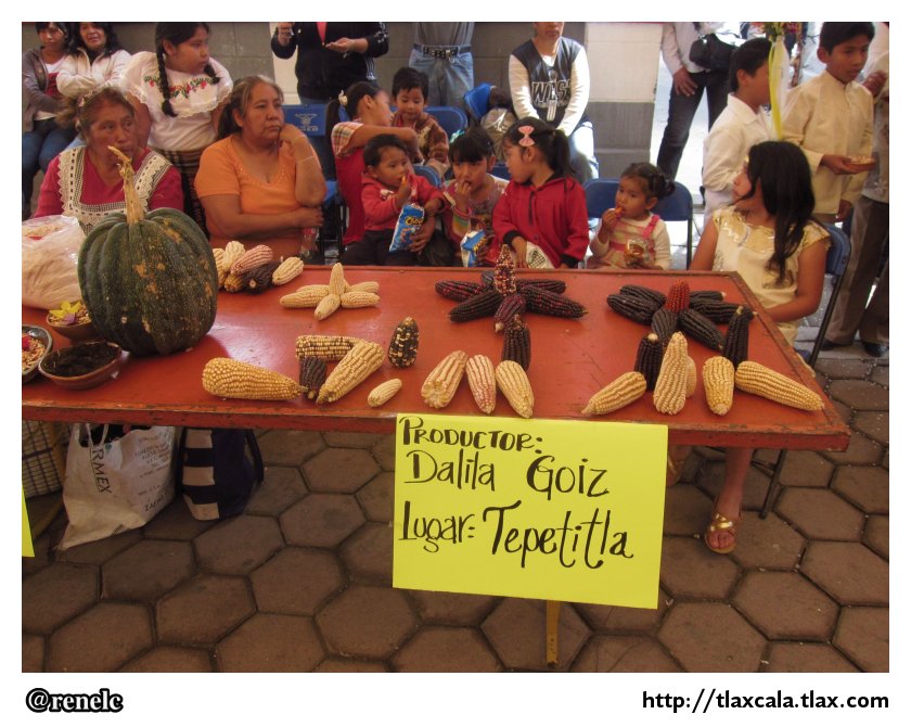 Feria del Maiz en Tepetitla - 2013 - Foto