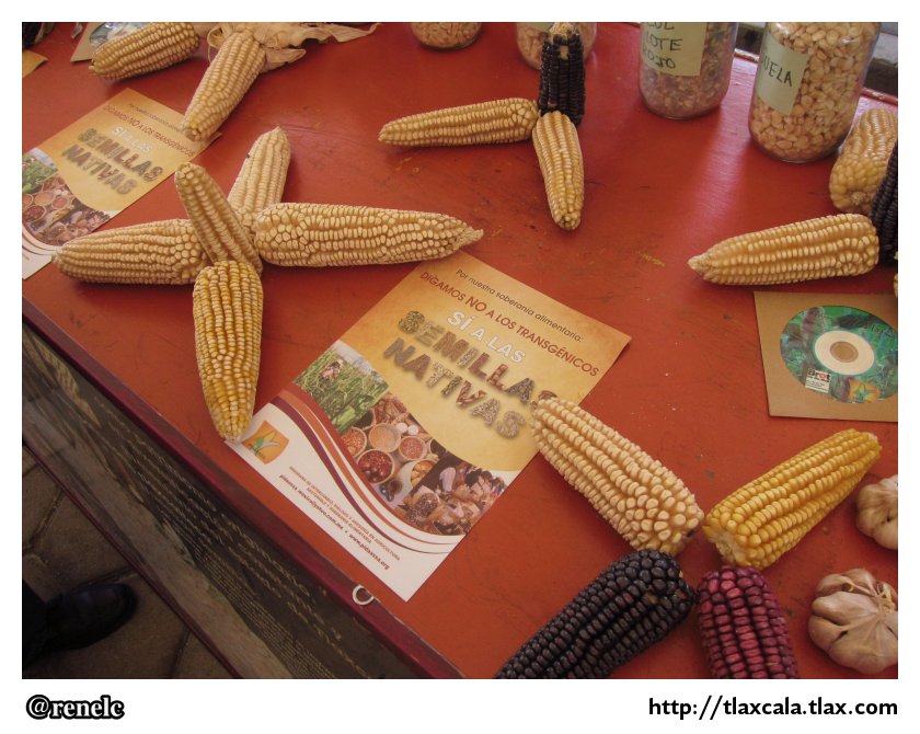 Feria del Maiz en Tepetitla - 2013 - Foto