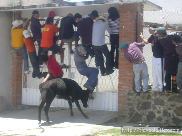 No tengan miedo....no hace nada