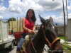 Que bonito caballooo
