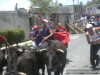 Arre vacassss