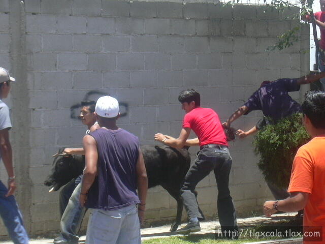 Asi seran buenos