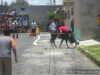 Ay weyyy le cortaron la cabeza a la vacaaa