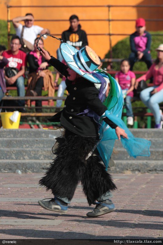Concurso de Camadas - Carnaval Tlaxcala 2014 - Foto